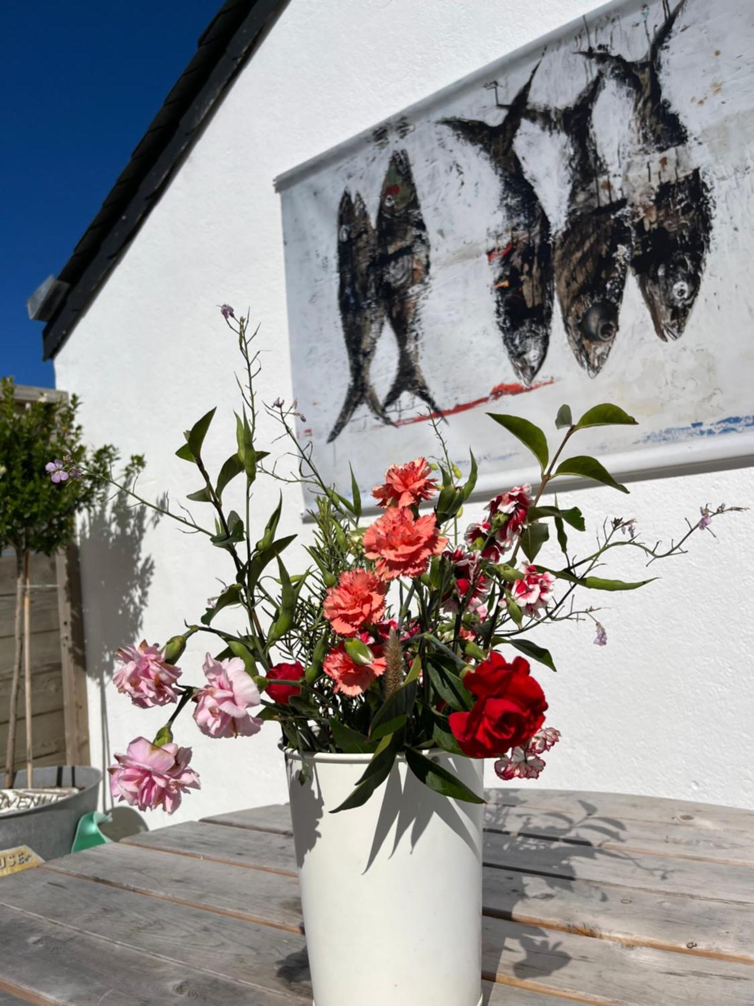 Bed and Breakfast L'Atelier De Mezareun Ushant Exterior foto